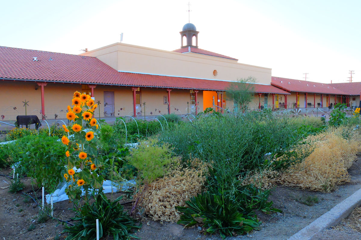 The Sonoran Desert Conference Center Celebrates One Year in Ajo