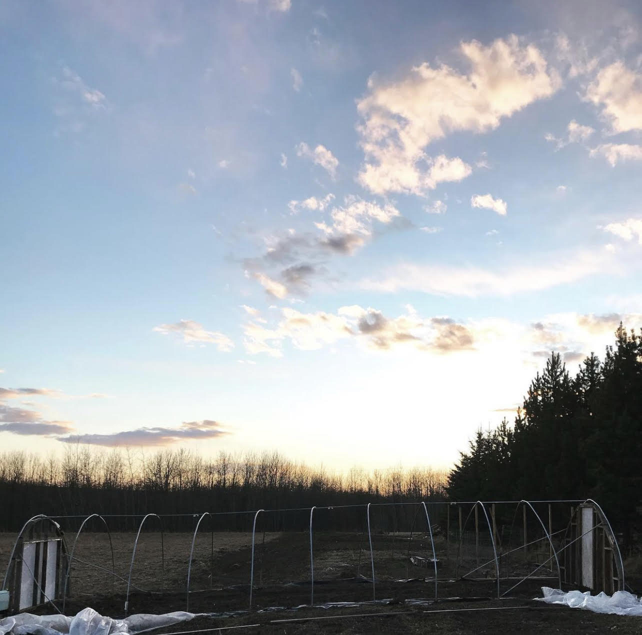 From Urban to Rural Agriculture — Reclaim Organics, Leduc County Rural Routes to Climate Solutions