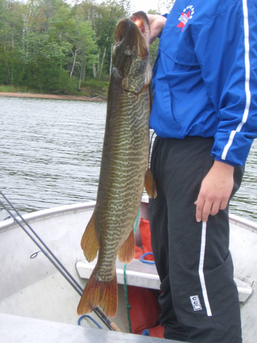 Chippewa Flowage Fishing Resort R&R Bayview Resort