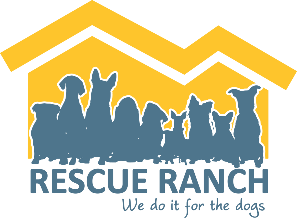 In Focus This Month Things You Should Know About Rescue Ranch Rescue