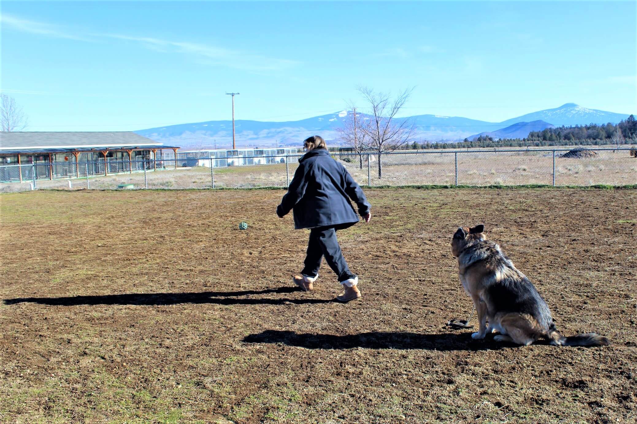 Did You Know Rescue Ranch Offers Free Dog Socialization Classes?