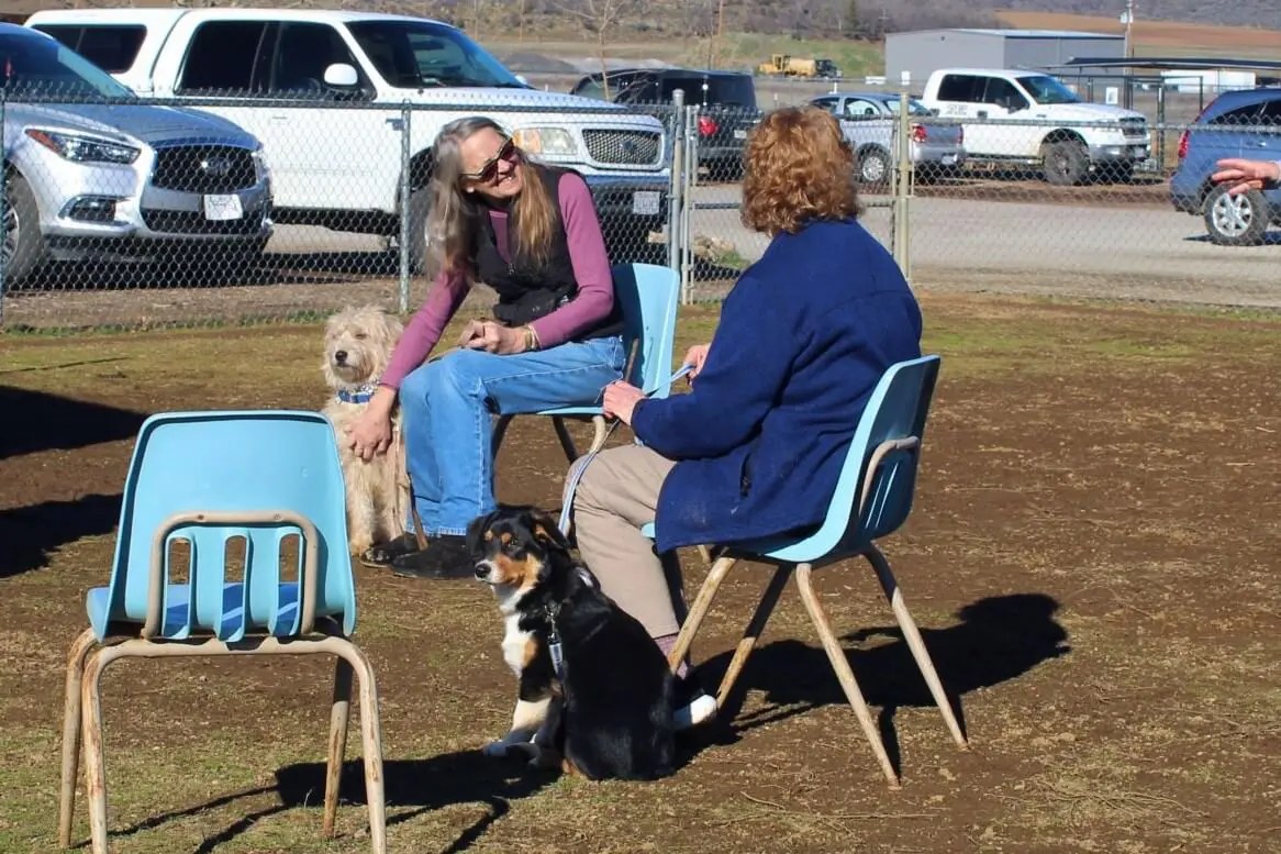 Did You Know Rescue Ranch Offers Free Dog Socialization Classes?