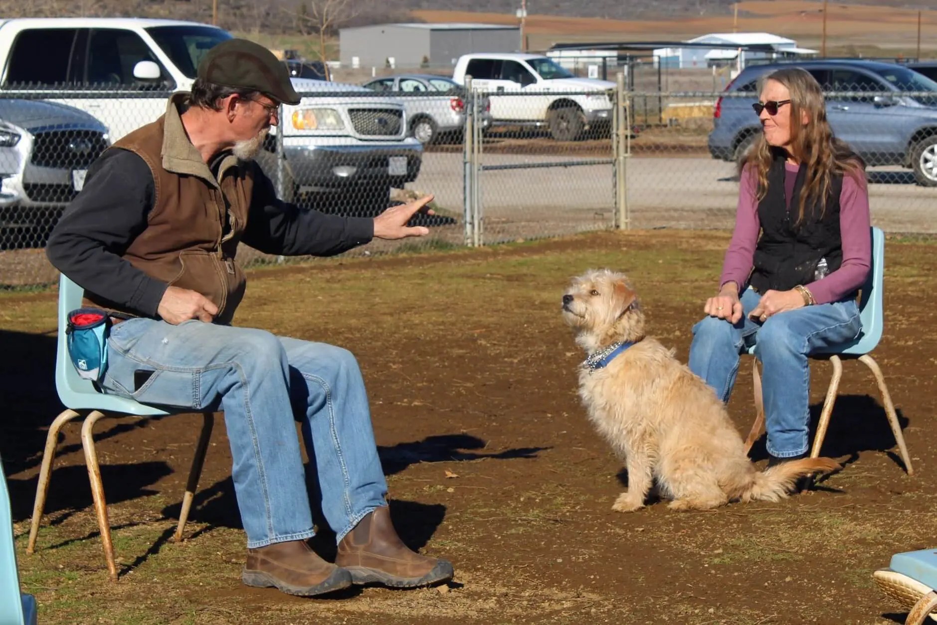 Did You Know Rescue Ranch Offers Free Dog Socialization Classes?