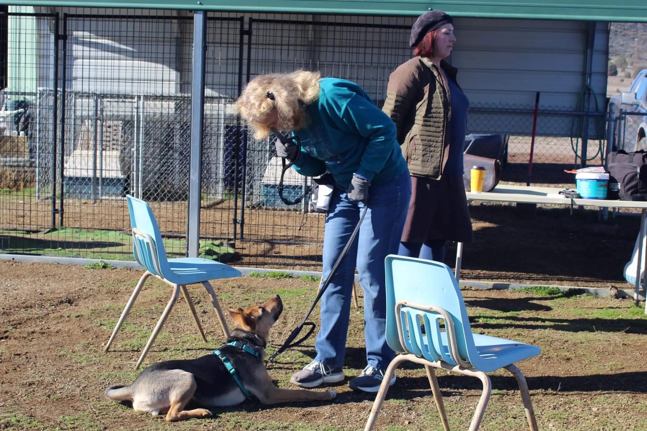Did You Know Rescue Ranch Offers Free Dog Socialization Classes?