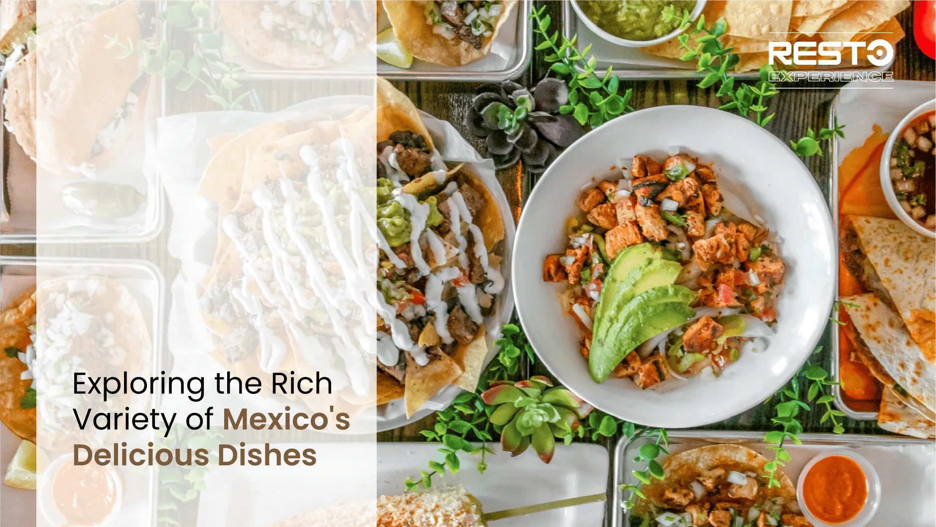 Mexican Food Exploring the Rich Variety of Mexico's Dishes