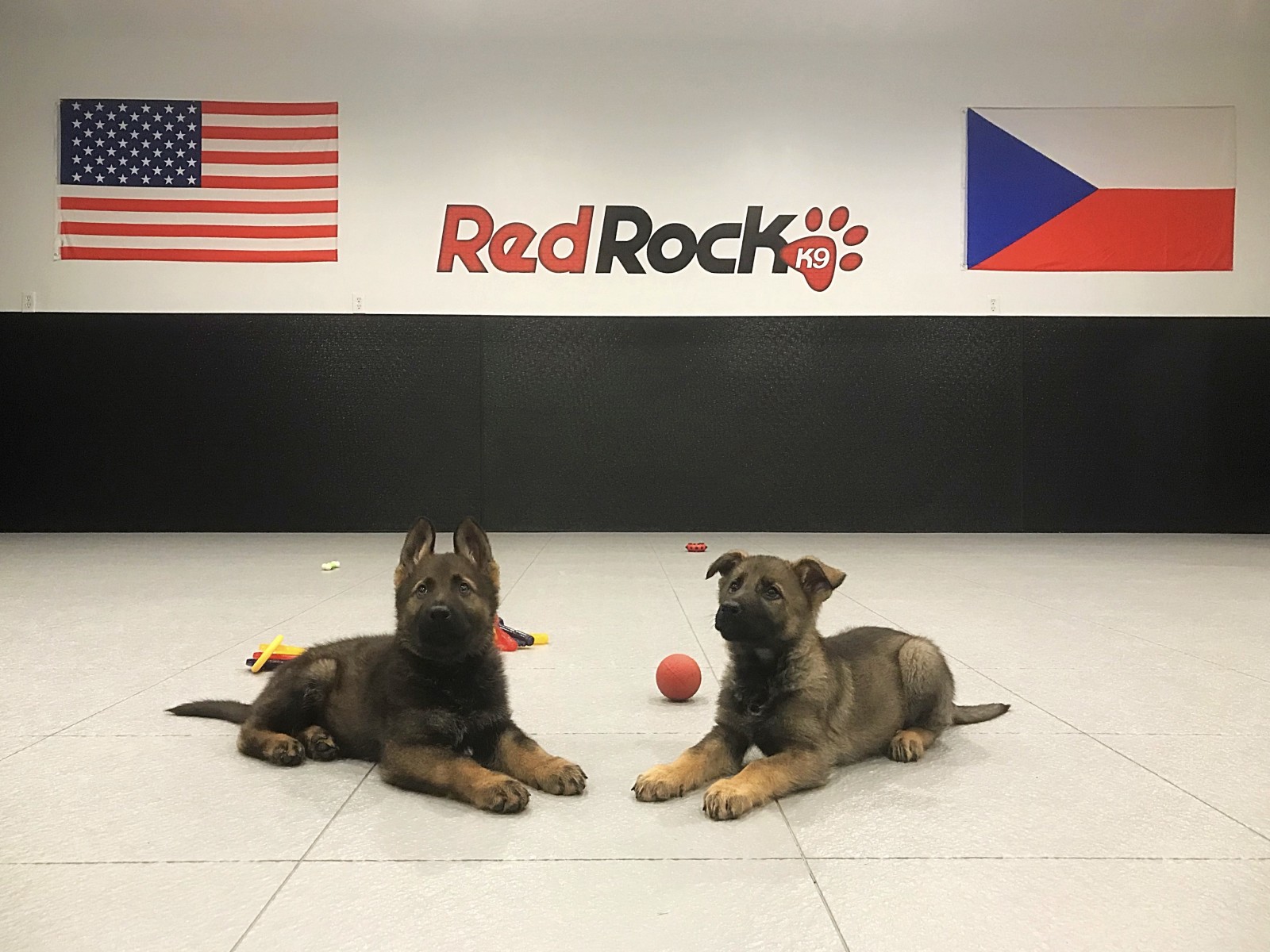 Red Rock K9 Advantage Red Rock K9