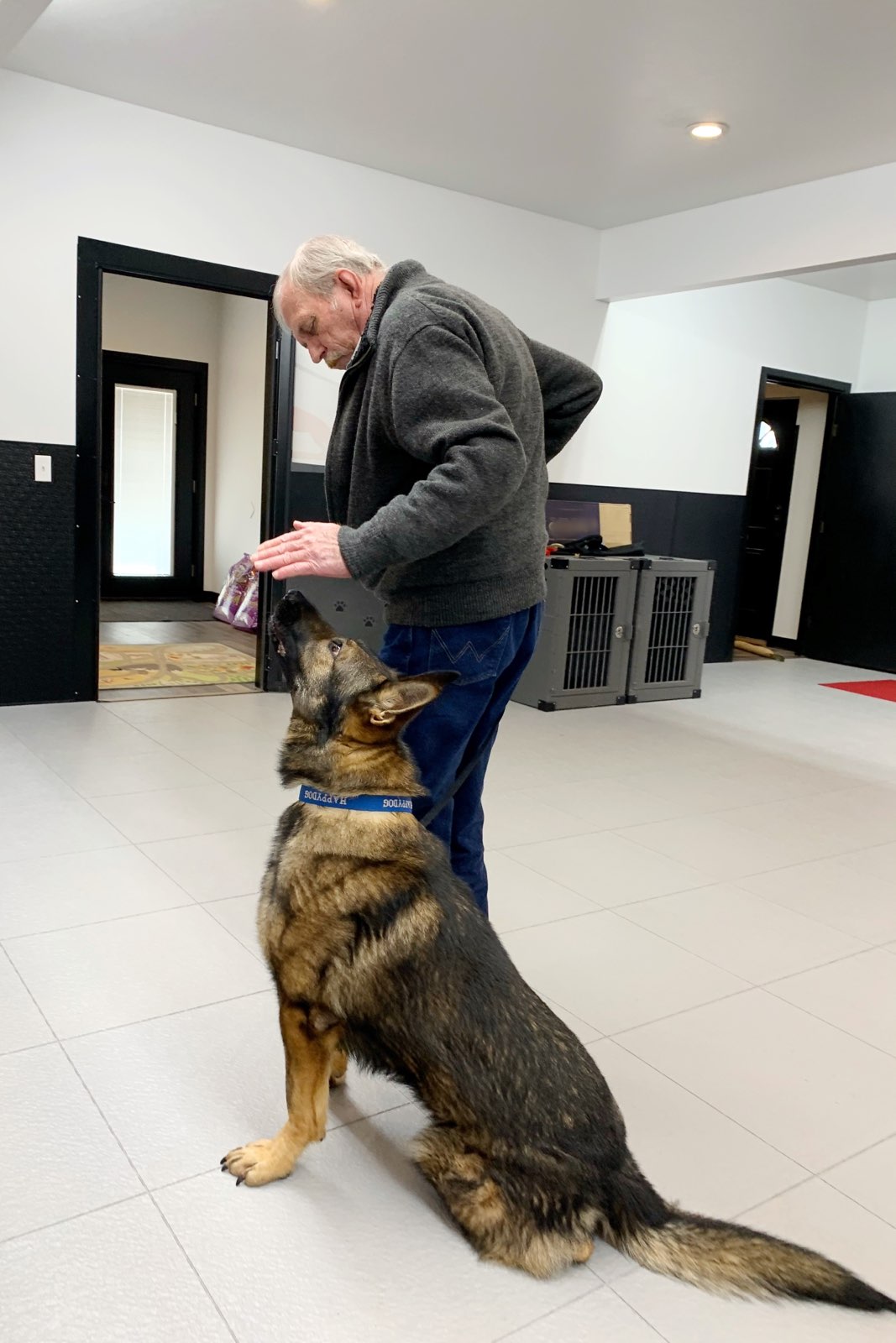 Red Rock K9 Advantage Red Rock K9