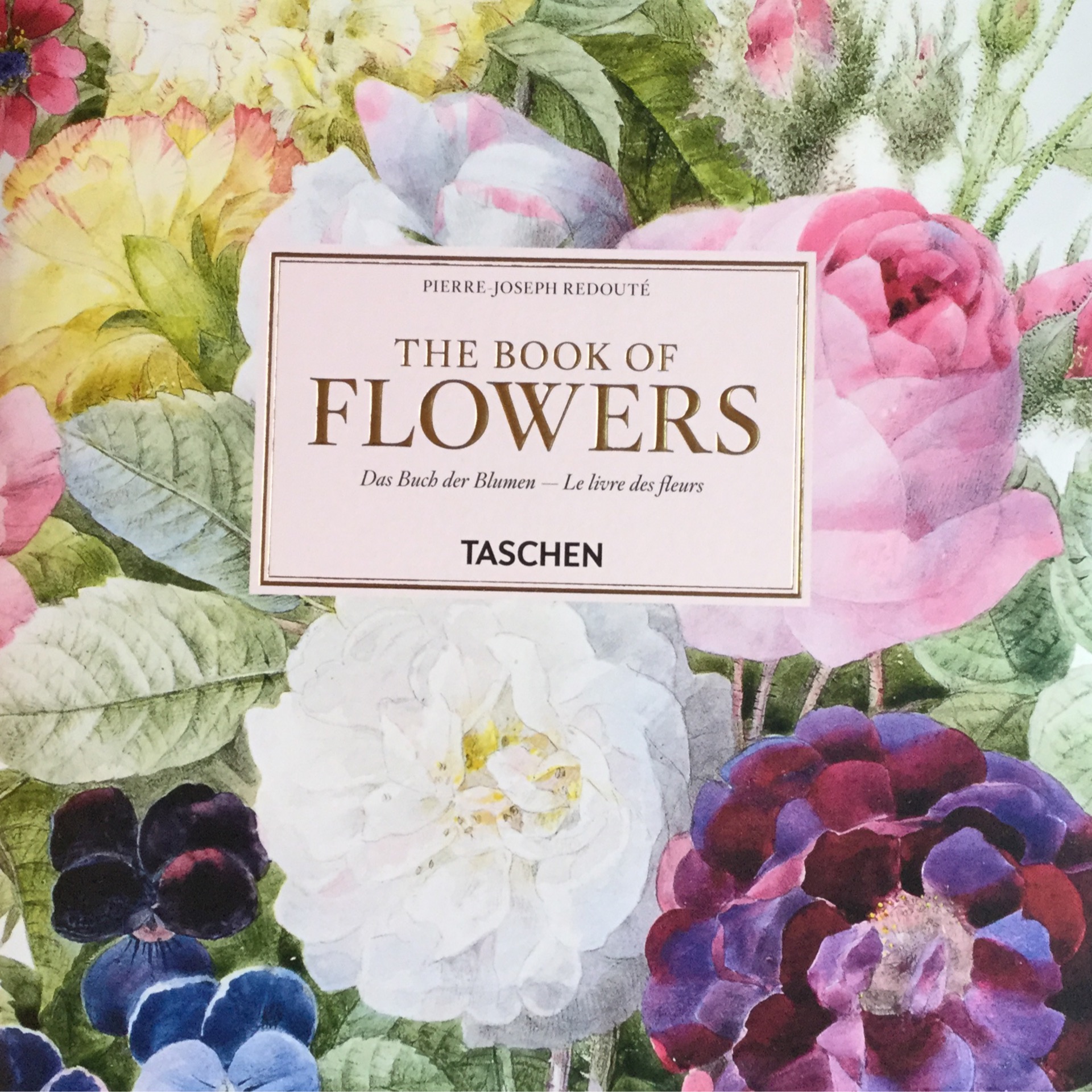 The Book of Flowers — R. Runberg Curiosities