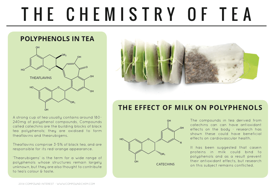 How Much Polyphenols In Coffee at Angela Milliken blog