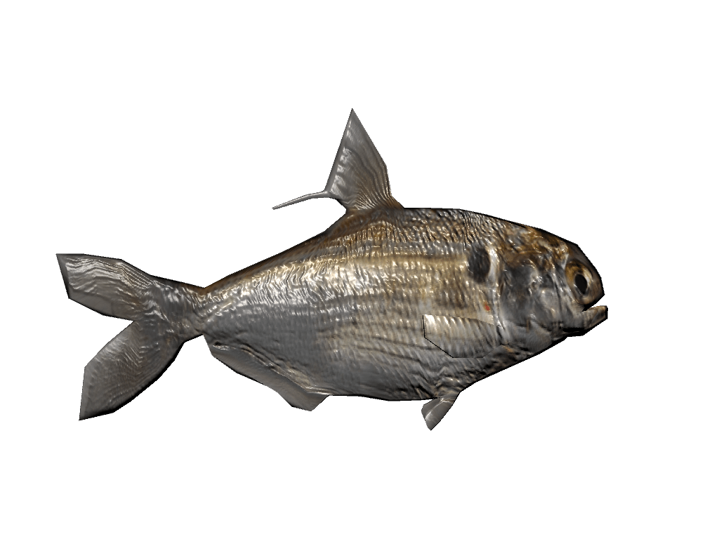 gizzard Randy Sabella My Game Design Portfolio