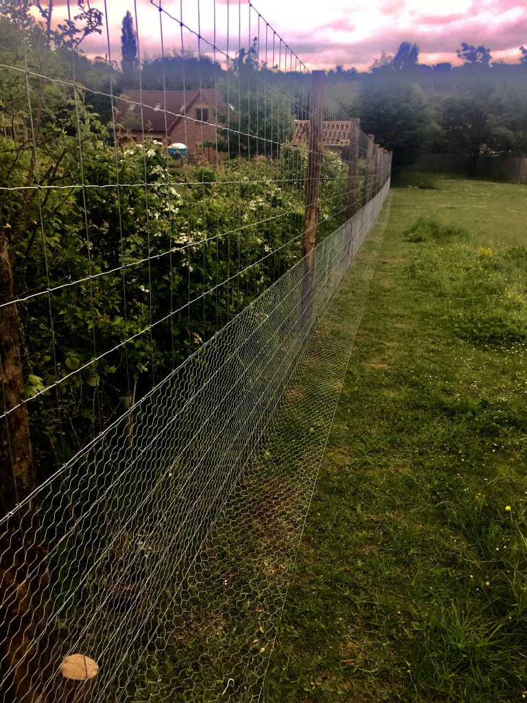 Rabbit Fencing Richard Stubbs Fencing Services