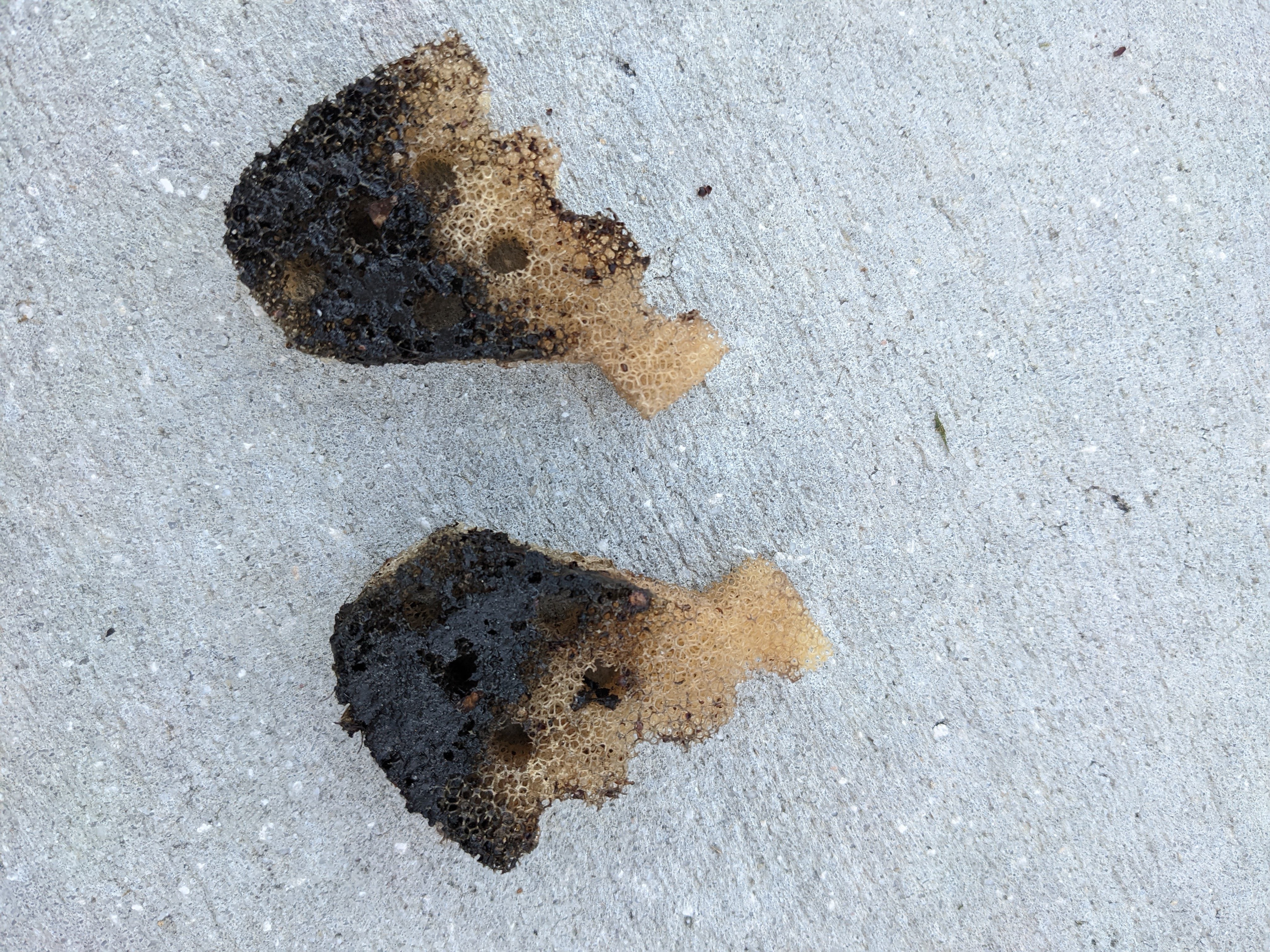 Mazda Miata Clean Convertible Drains Robert Skelton Cars