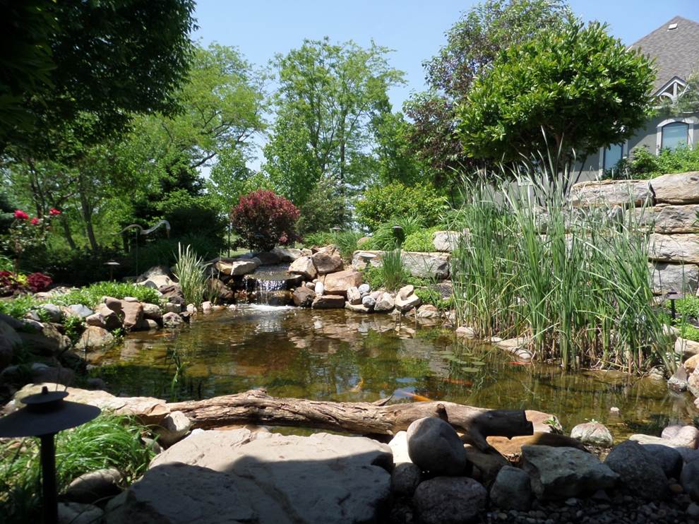 Tending to your pond landscape during fall in Kearney, Missouri
