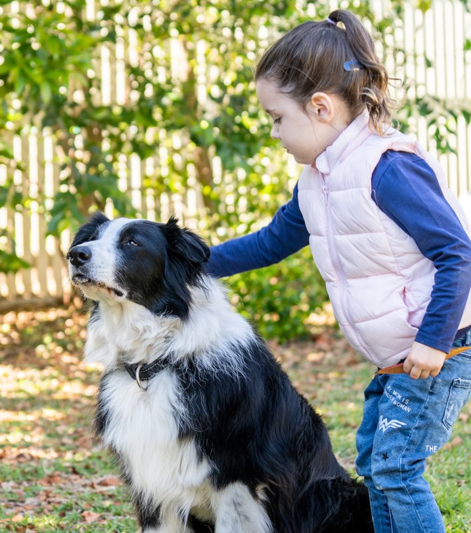 Pet Cremation Dog Cremation Pet Memorials Brisbane