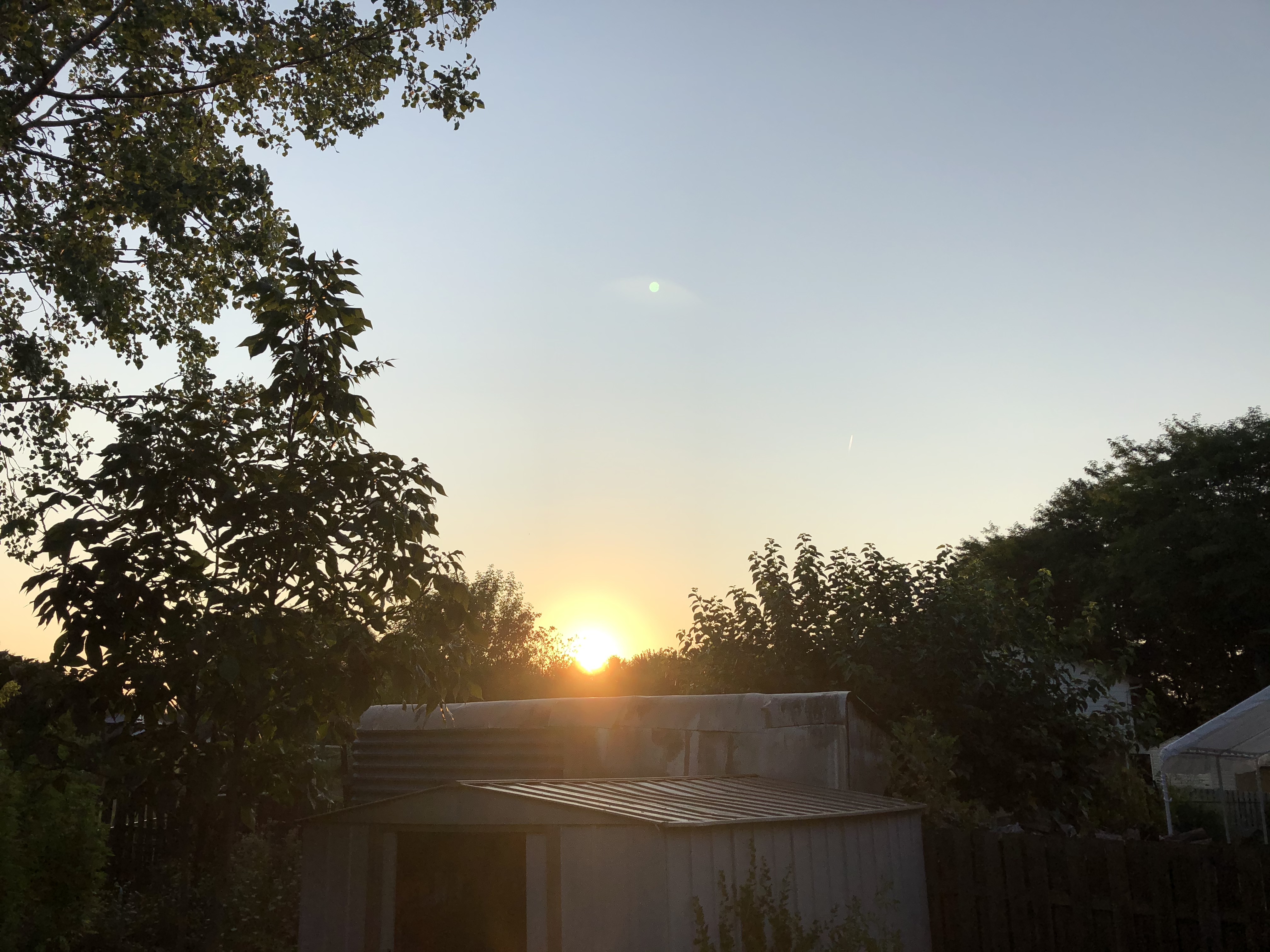 Rising Sun Property Maintenance