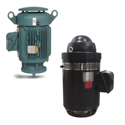 Vertical Motors Hollow Shaft & Solid Shaft Motors