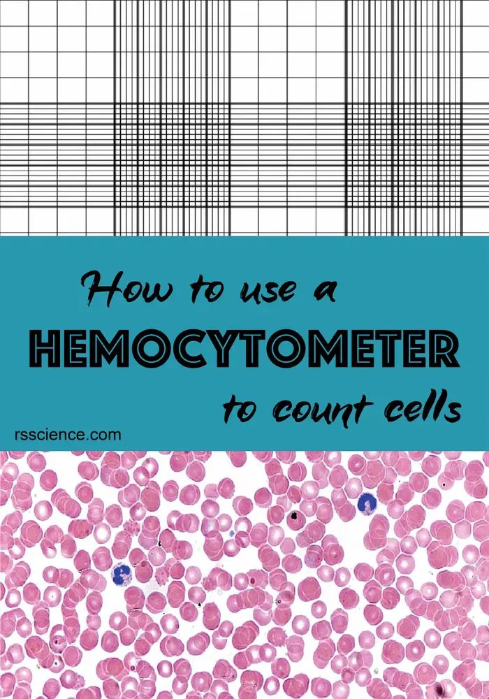 How to Use a Hemocytometer to Count Cells Rs' Science