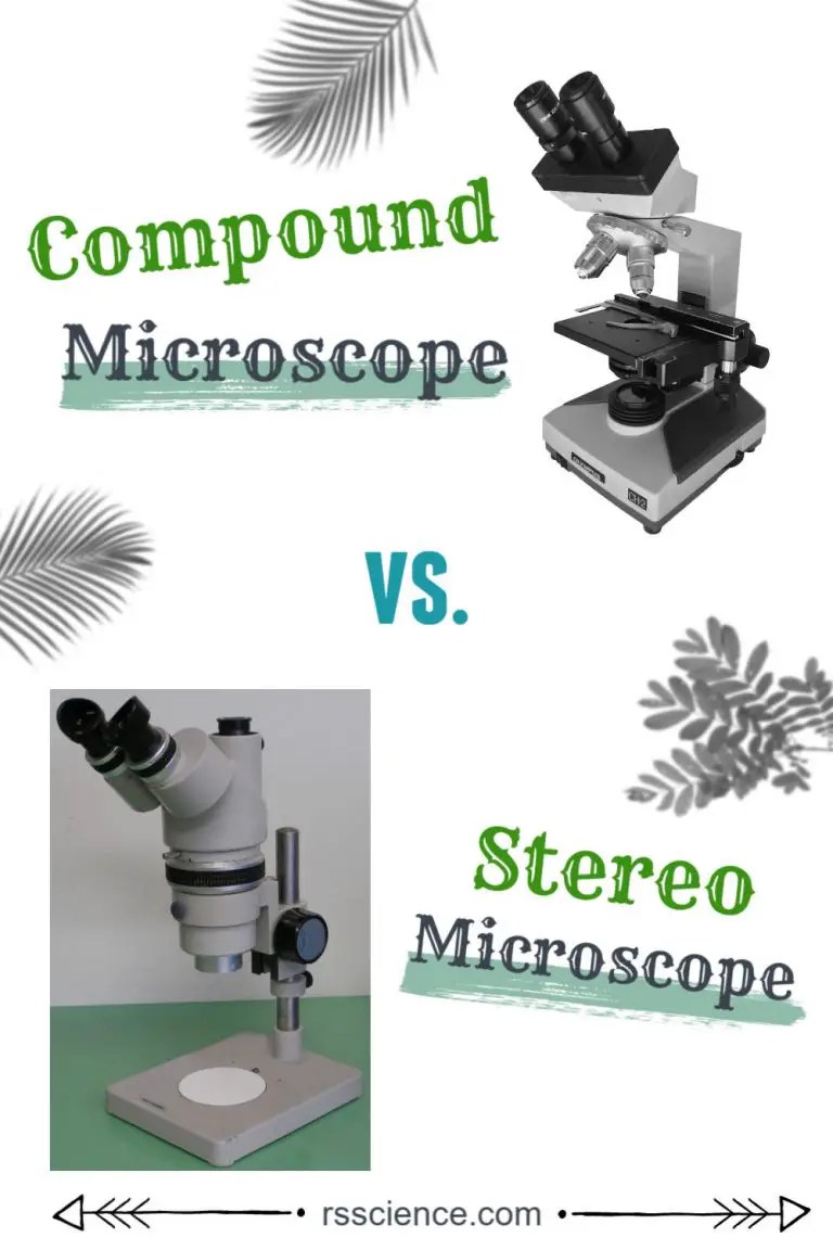How to Choose the Right Microscope Microscope vs. Stereo