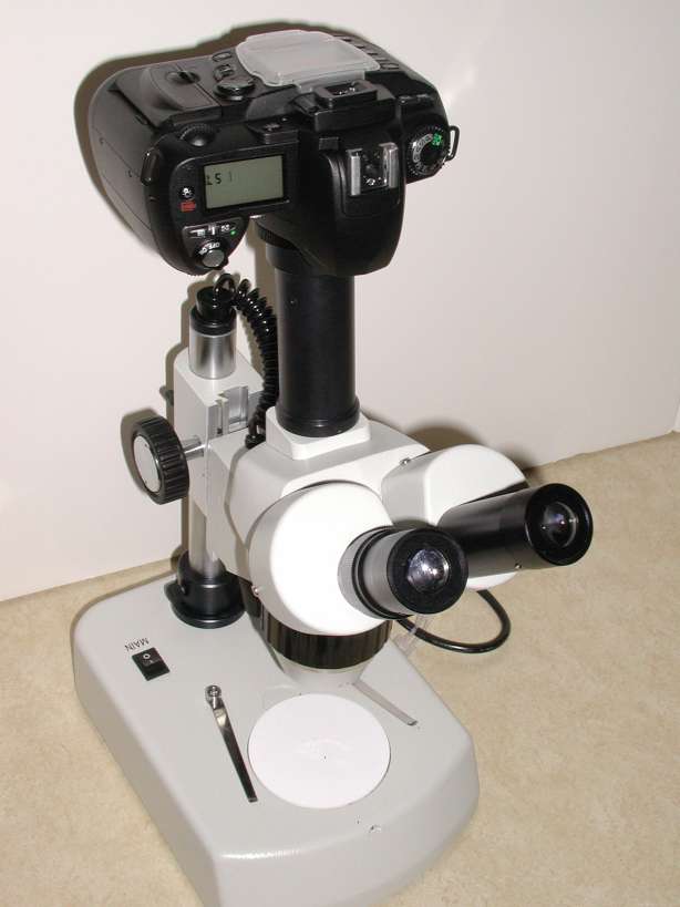 How to Choose the Right Microscope Microscope vs. Stereo