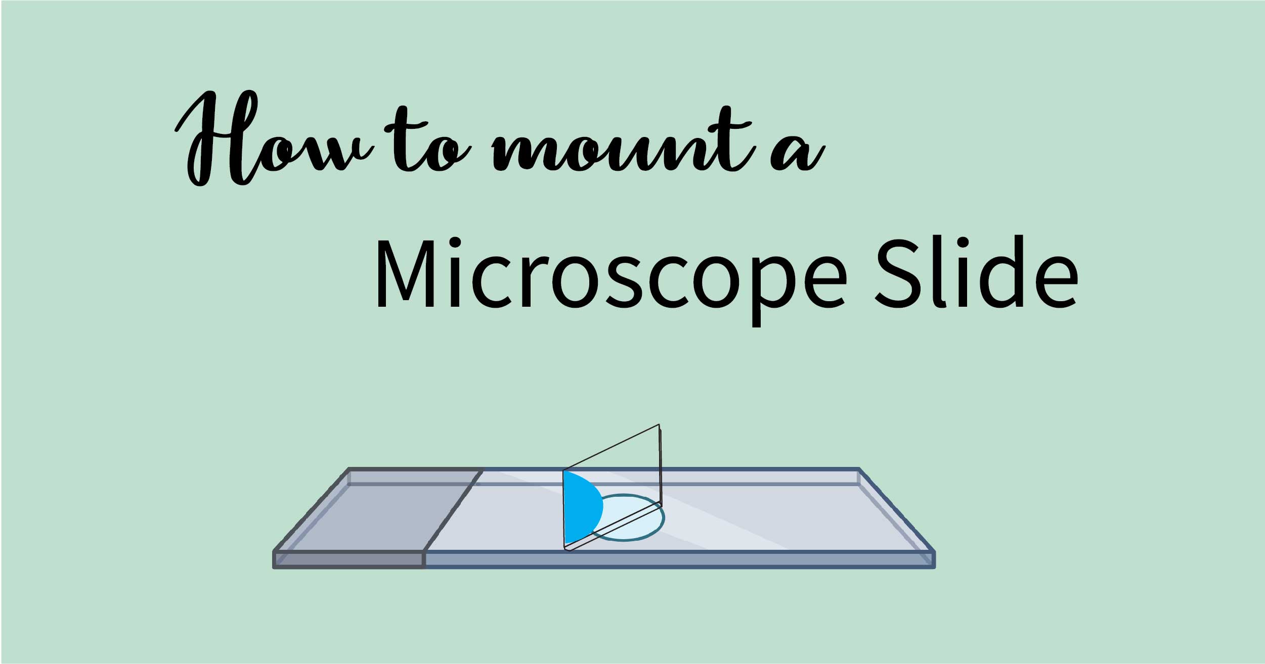 How to Mount a Microscope Slide Rs' Science