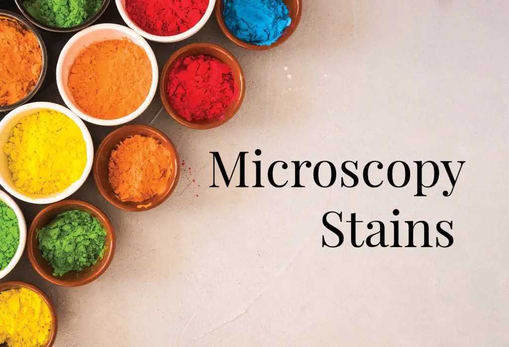 Microscopy Stains Rs' Science