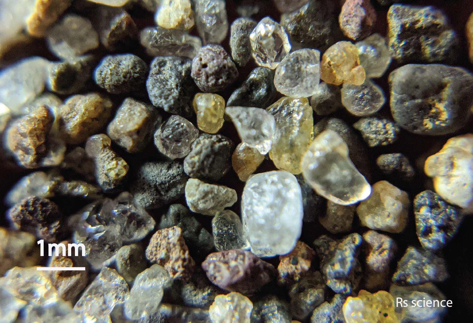 Sand Under a Microscope Rs' Science