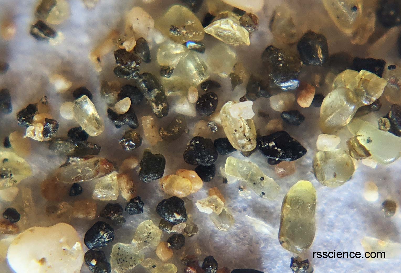Sand Under a Microscope Rs' Science