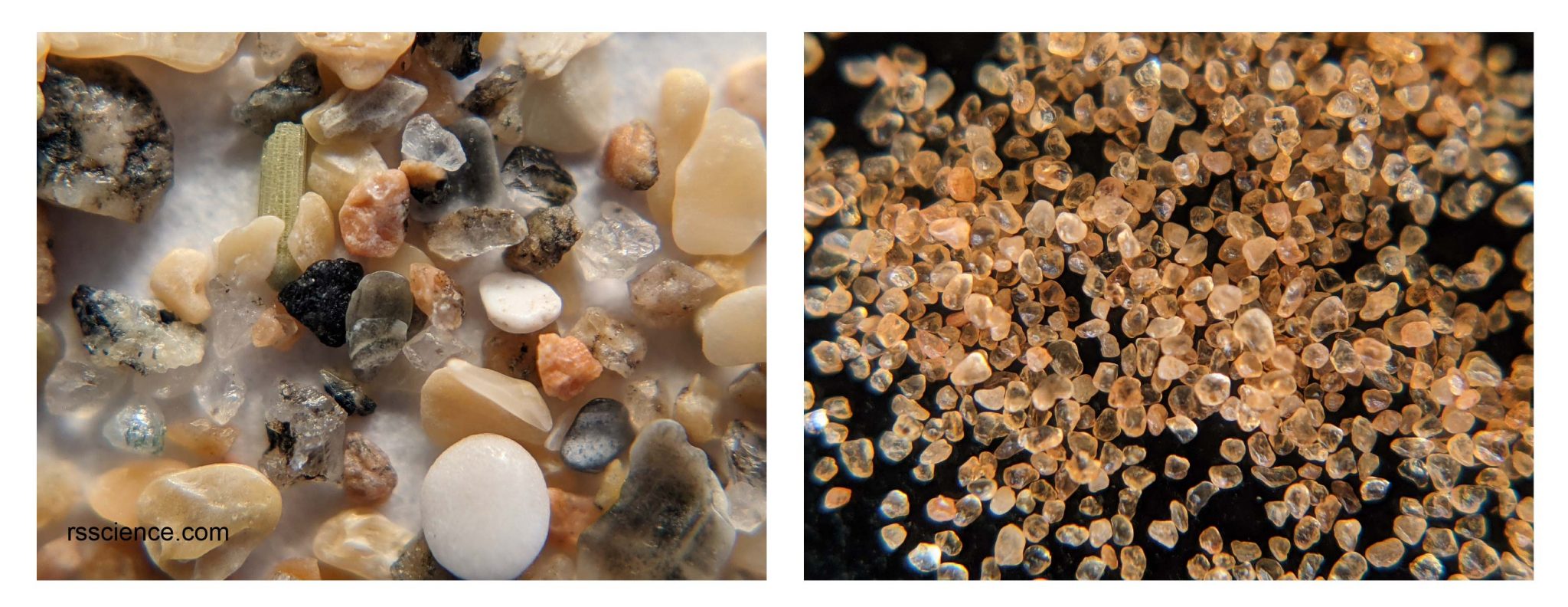 Sand Under a Microscope Rs' Science