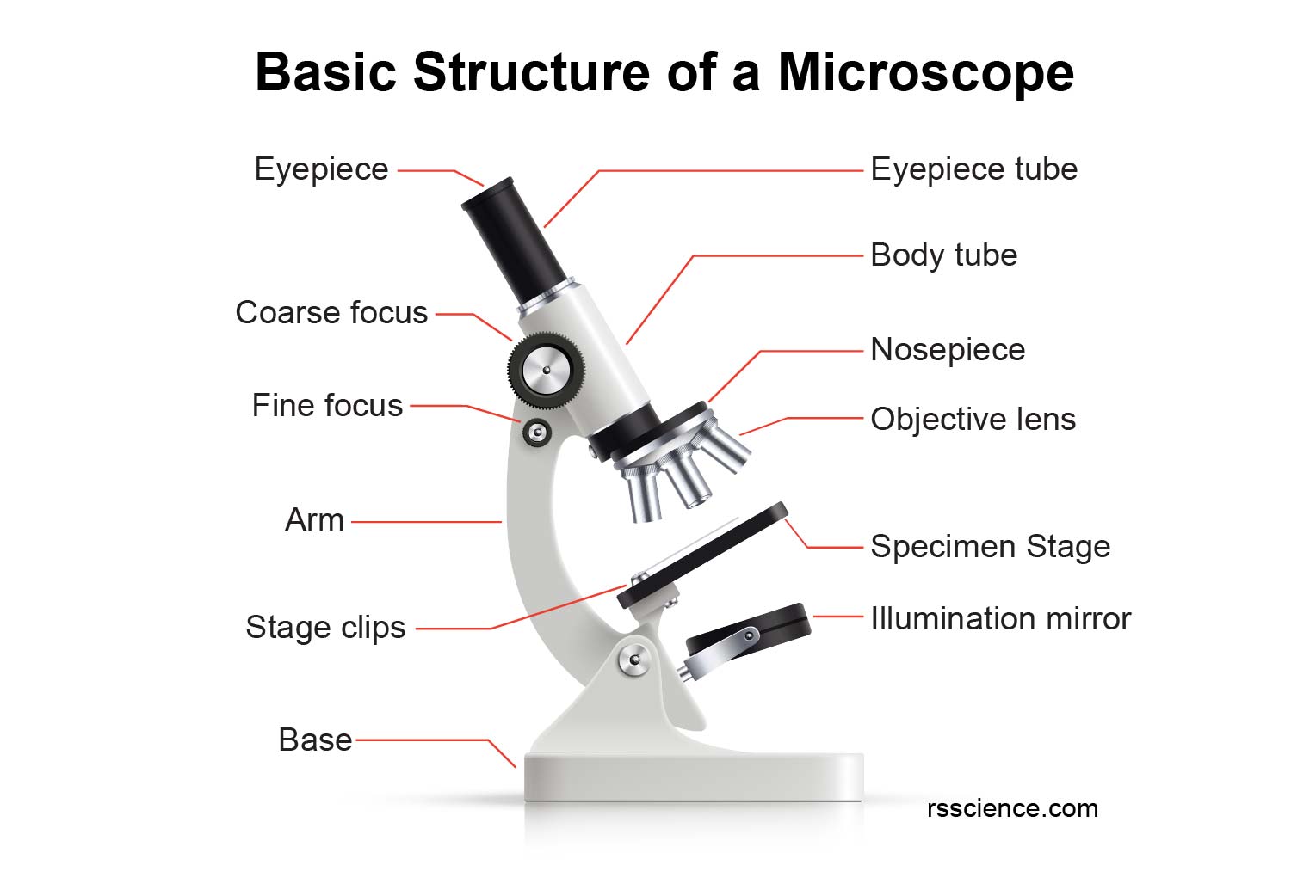 Parts of a microscope and function moolasopa