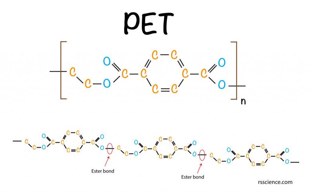 Plastic Eating Bacteria how they work PETase that can break down