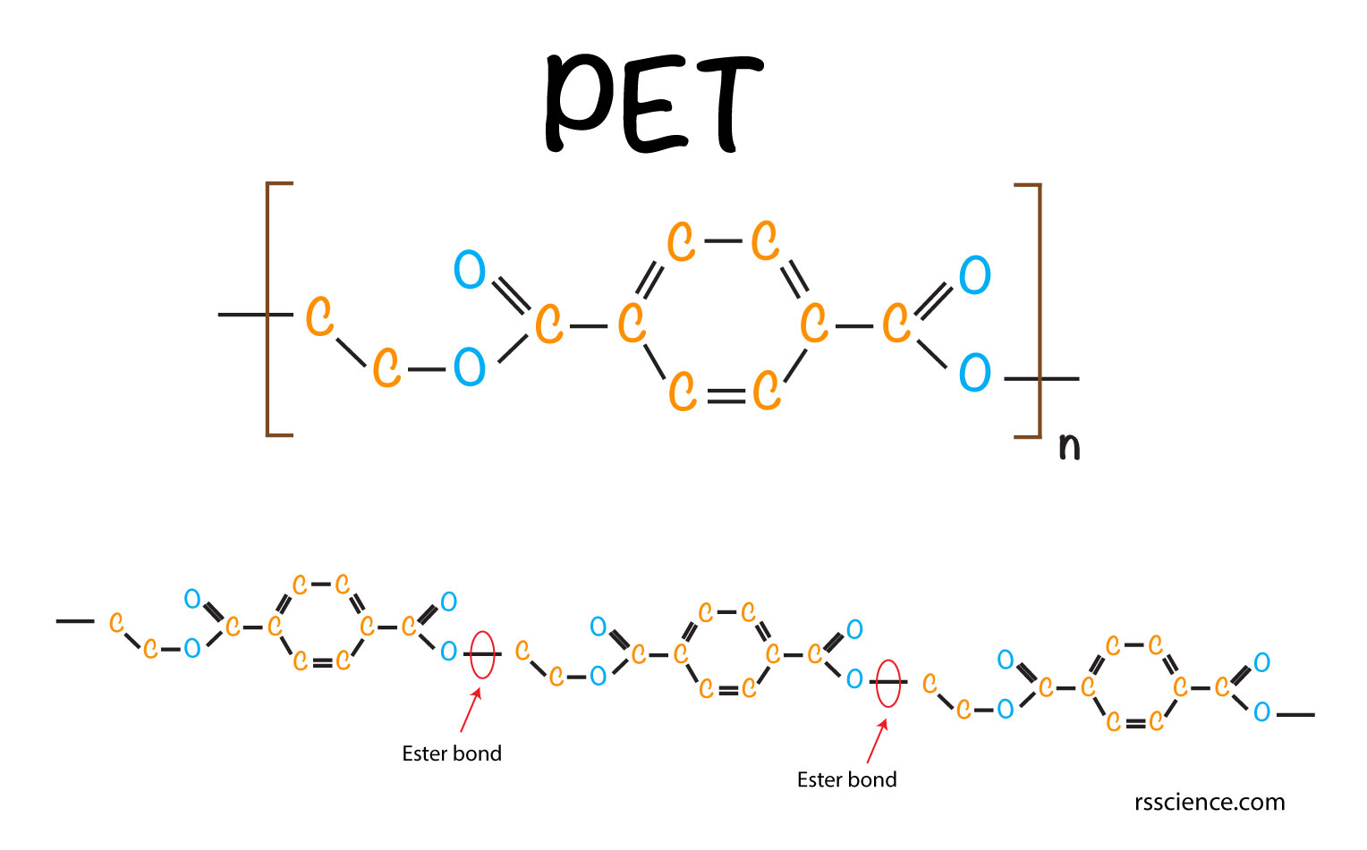 Plastic Eating Bacteria how they work PETase that can break down