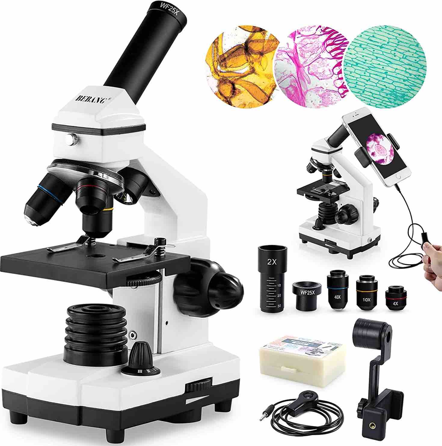 Unique Gift Ideas for Microscopes Rs' Science