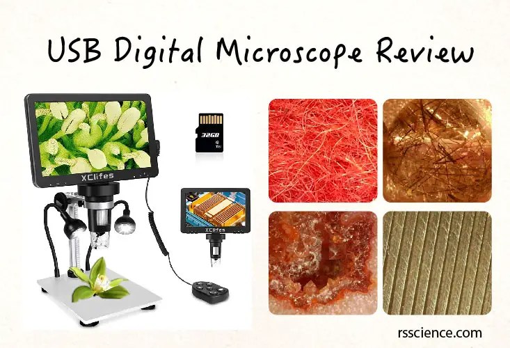 USB Digital Microscope Review Rs' Science