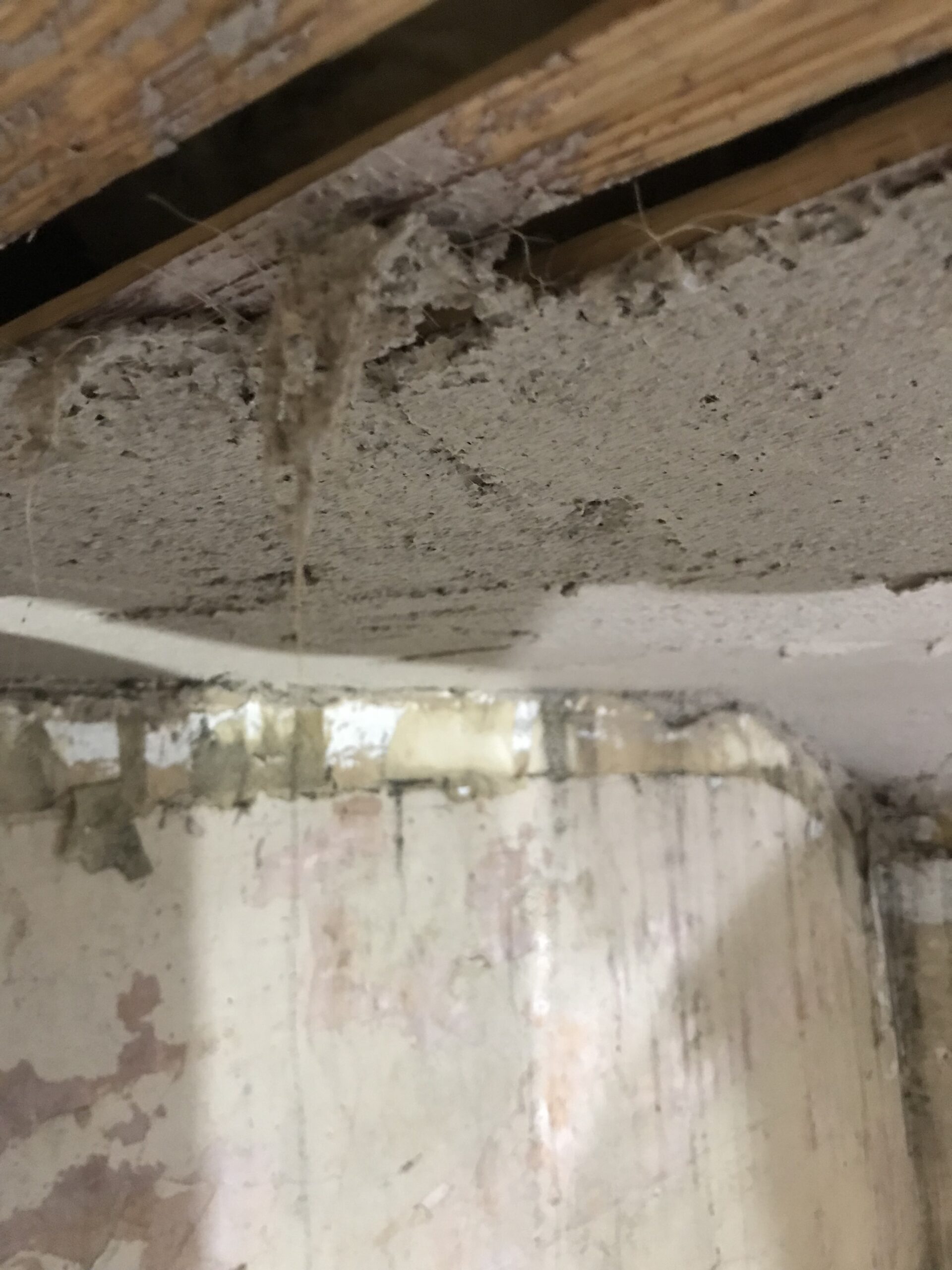 Lath & Plaster RSTA Gooden