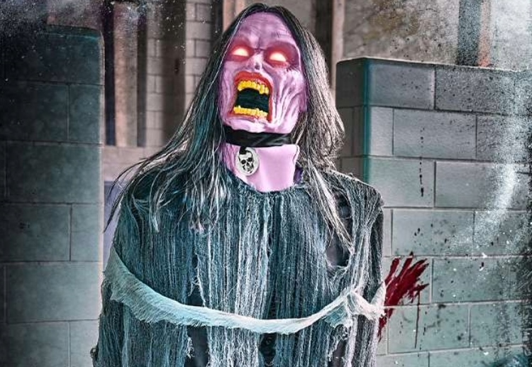 drammatico Lapparecchio Essenzialmente costume halloween montreal