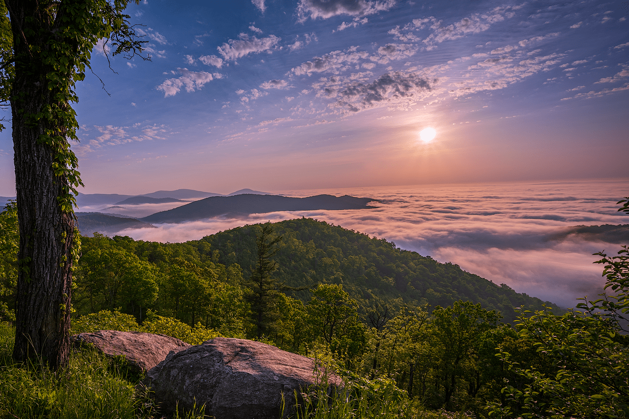 Share the Experience Shenandoah National Park