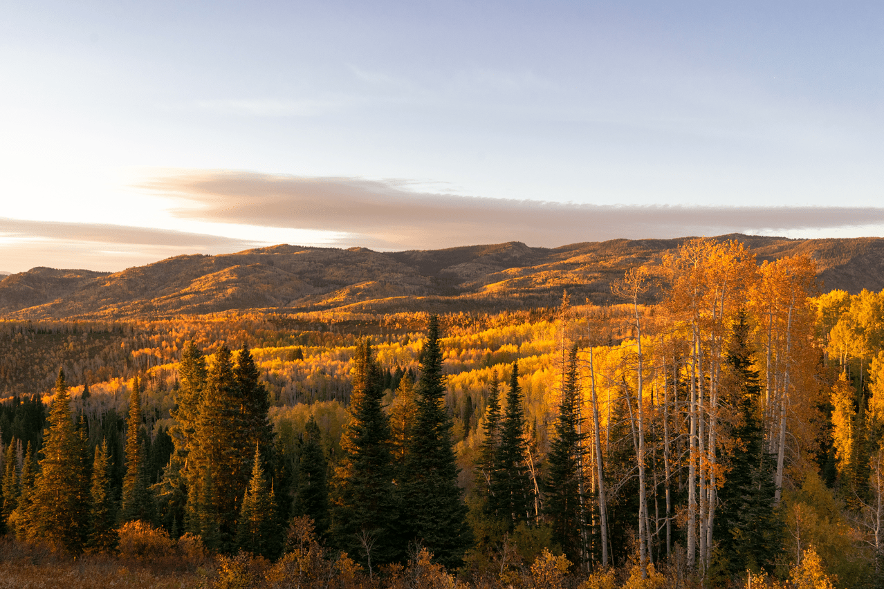 Share the Experience Medicine BowRoutt National Forests & Thunder
