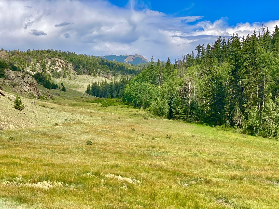 Share the Experience Pike and San Isabel National Forests Cimarron