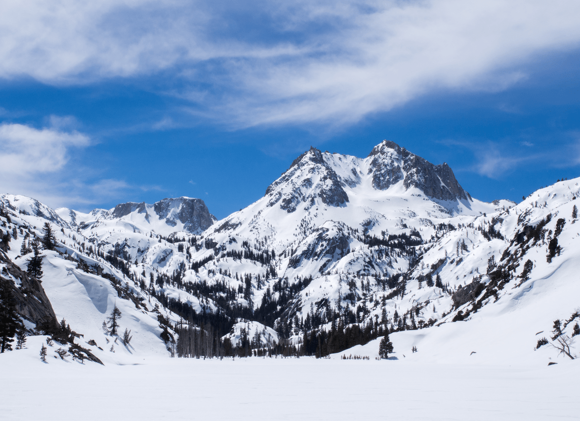 Share the Experience HumboldtToiyabe National Forest