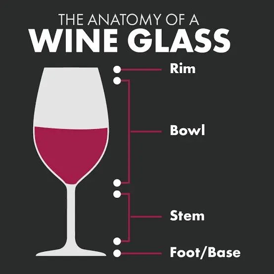 Why do Wine glasses have stems? Rankers Study Tutorial