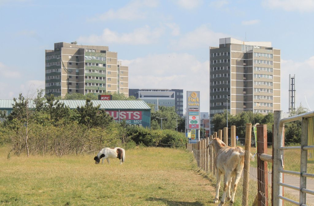 Case Study St. James' Community Farm Royal Society of Ulster Architects