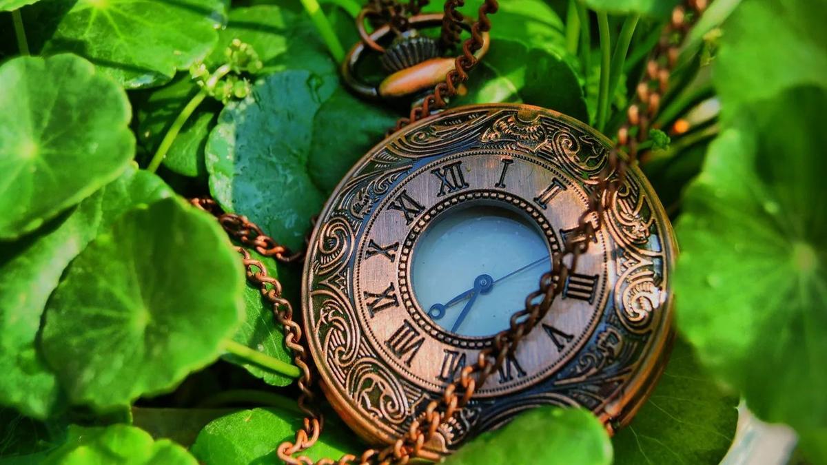 Дата рока и силы 6 июня 2023 года: загадываем желание в зеркальную дату