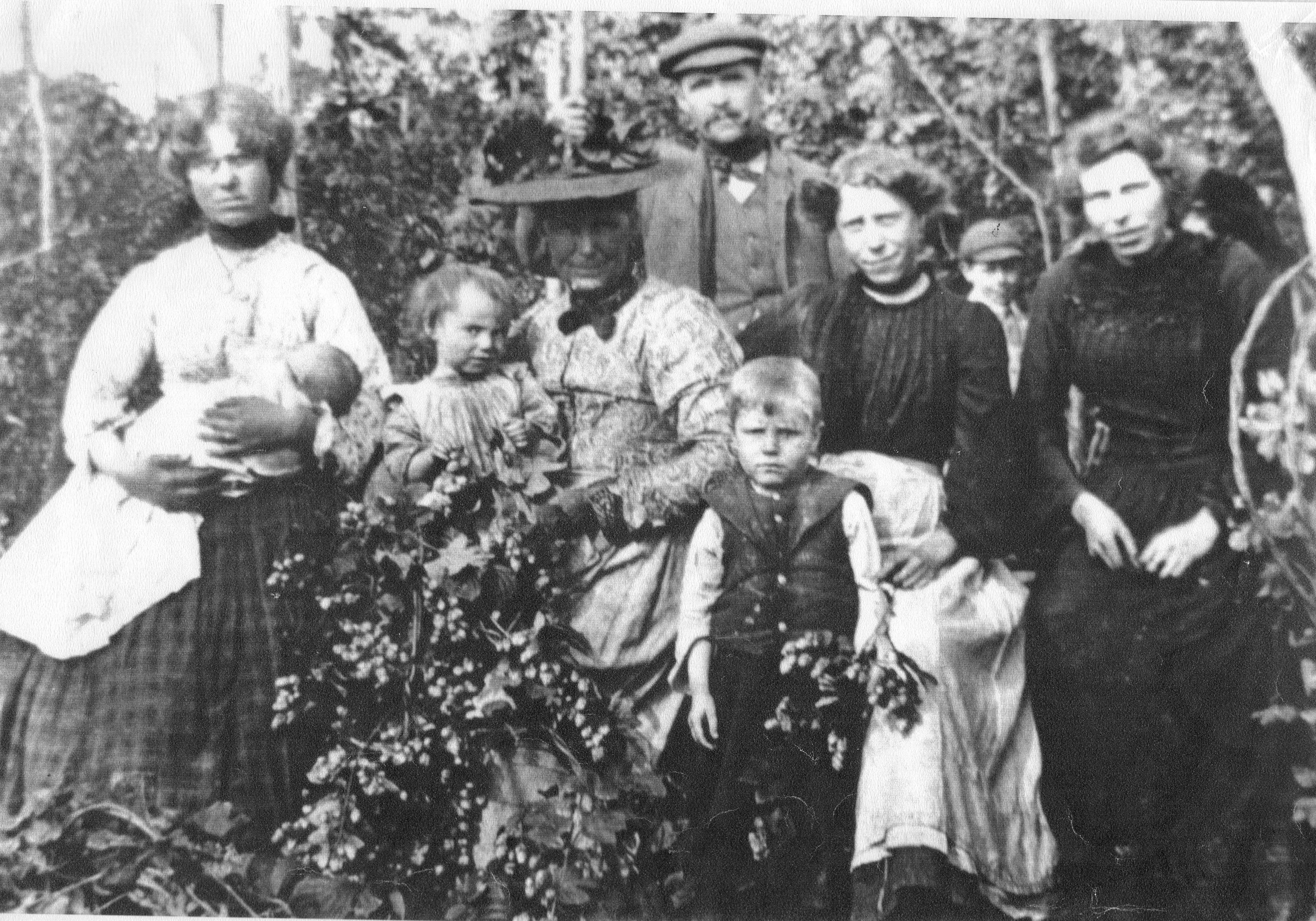 Unknown hoppers Romany & Traveller Family History Society