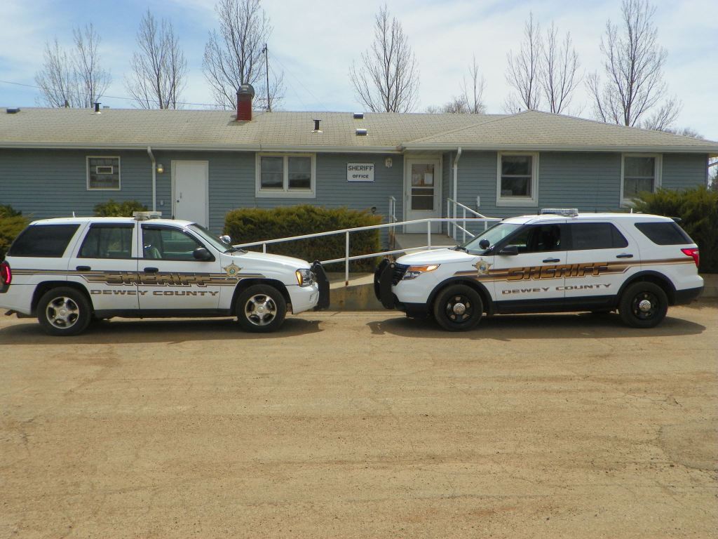 SD Sheriff Updates Impending Wild Horse Auction Details Straight from