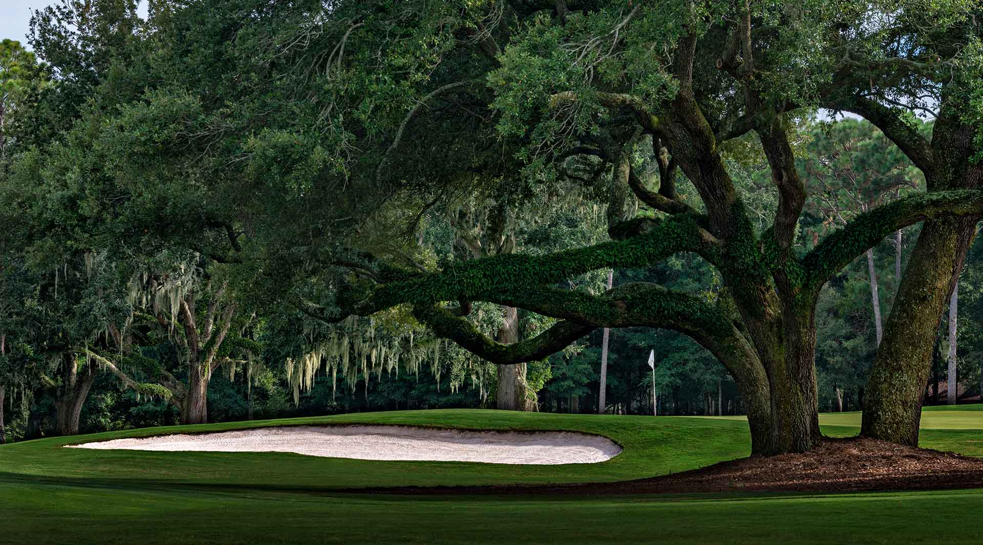 Experience the Resort Collection on Alabama's Robert Trent Jones Golf Trail