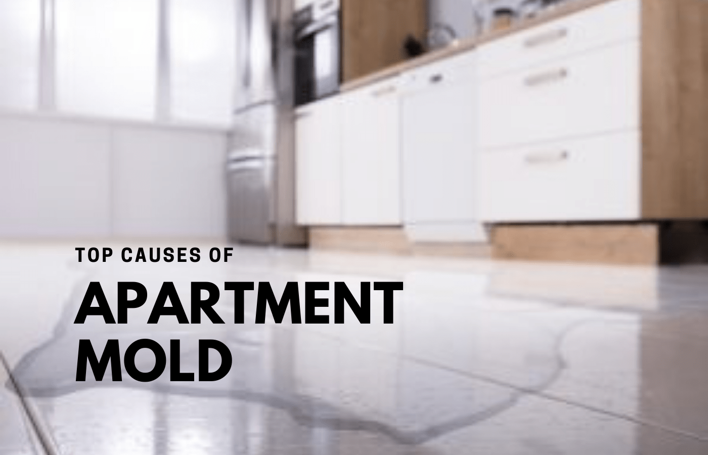 Top Causes Why Mold is so Common in Apartment Buildings RTK