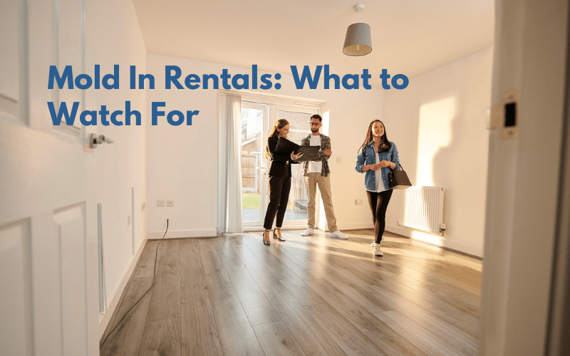 Ten Alarming Truths About Mold Every Renter Should Know RTK