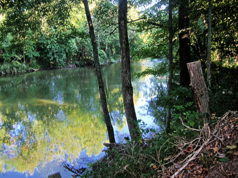 Three Rivers Water Festival 2024 Schedule Three Rivers Water Festival Spanning the Life Issues