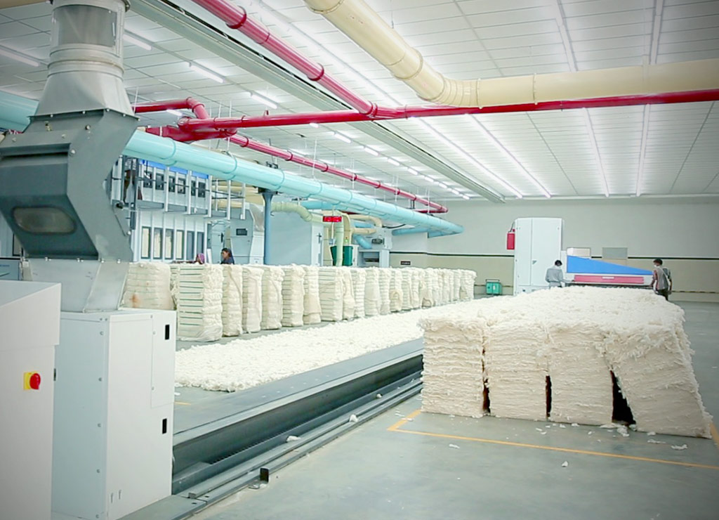 Home RTMA The Rajasthan Textile Mills Association