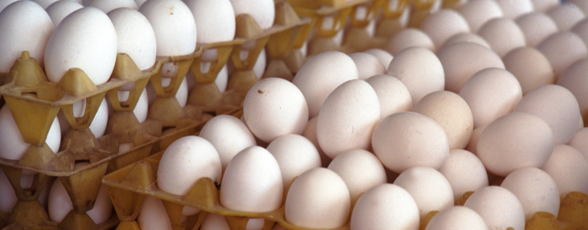 California Egg Recall 20M Shell Eggs Pulled Over Salmonella Risk
